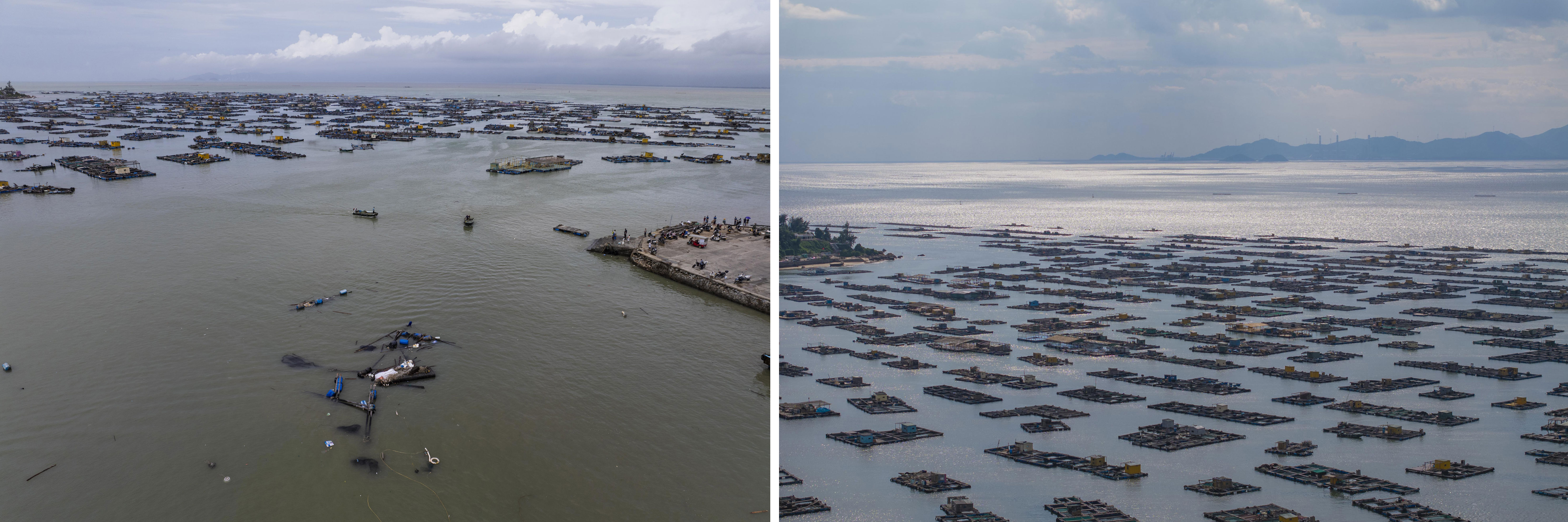 自己亲手养, 阿亮, 视频